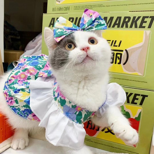 碎花飞袖 宠物春夏款 连衣裙甜美可爱比熊约克夏马尔济斯衣服狗狗猫