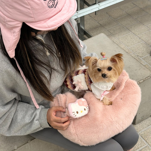 宅日梦乐宠物包外出斜挎包小型犬