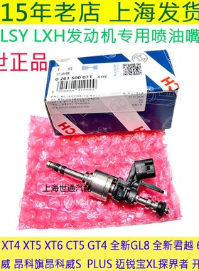适用凯迪拉克CT6 XT4 XT5 XT6 CT5 GT42.0TLSY发动机喷油嘴