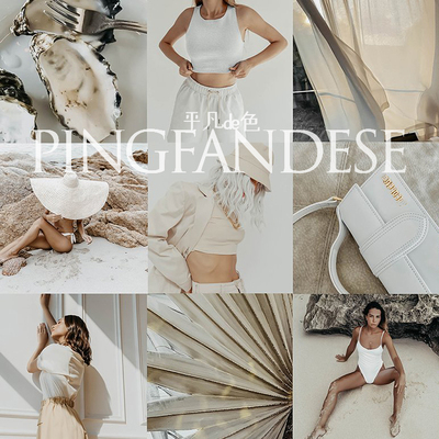 capture one样式棚拍时尚裸色灰人像摄影调色滤镜C1飞思样式CO672