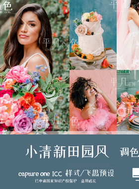 captureone样式小清新田园婚礼人像跟拍调色滤镜c1飞思预设CO914