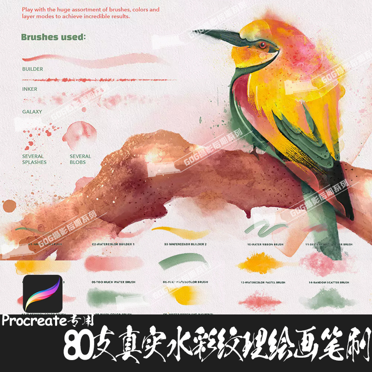 Procreate笔刷 80支写实水彩画颜料纹理晕染混色湿边IPAD手绘画笔