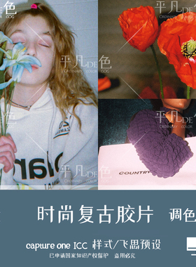 capture one样式 复古时尚颗粒胶片人像调色滤镜c1飞思预设CO819