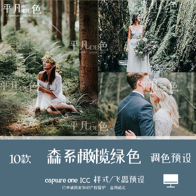 captureone样式森系橄榄绿婚礼旅拍风光调色滤镜c1飞思预设CO706
