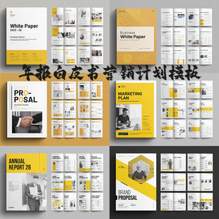 Indesign模板6套A4 营销计划公司简介提案项目建议白皮书宣传画册