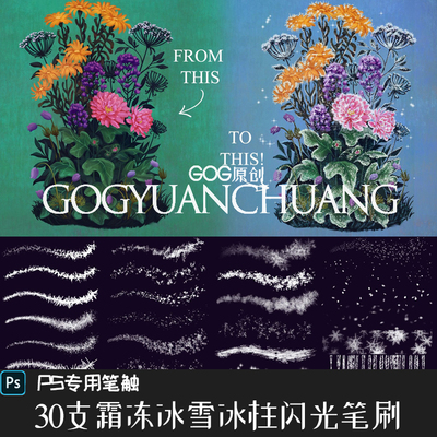 PS笔刷 30支冬季霜冻纹理冰雪花冰柱亮晶晶闪光效果手绘画笔刷P97