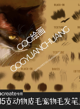 Procreate笔刷PS笔刷15支宠物绒毛动物皮毛毛发手绘画ipad平板939