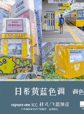 capture one样式 日系小清新黄蓝浅色调调色滤镜C1飞思预设CO854