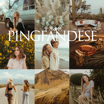 capture one样式 法式清新人像旅行风光调色滤镜 c1飞思预设CO631