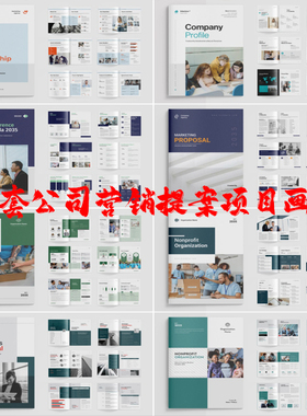 Indesign/Word模板8套A4 公司简介提案项目建议书营销宣传画册PDF