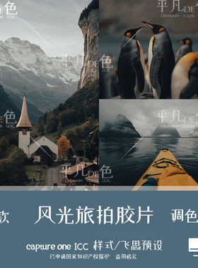 capture one样式 旅行风光人像旅拍胶片调色滤镜c1飞思预设CO939