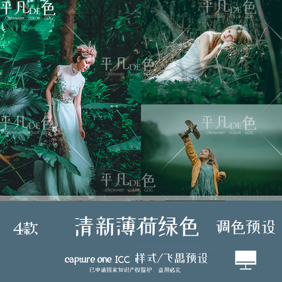 capture one样式清新丛林文艺人像森系调色滤镜 c1飞思预设CO919
