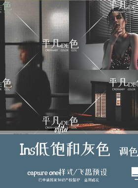 captureone样式 低饱和灰色旅拍人像胶片调色滤镜C1飞思预设CO842