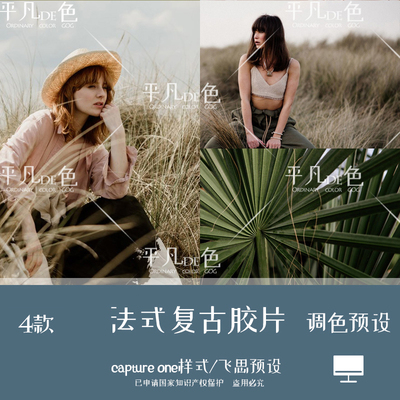 capture one样式法式森系胶片旅拍人像风光调色滤镜飞思预设CO225
