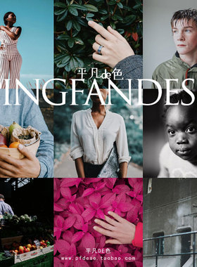 captureone样式人像风景静物RNI5电影胶片调色滤镜C1飞思预设CO66