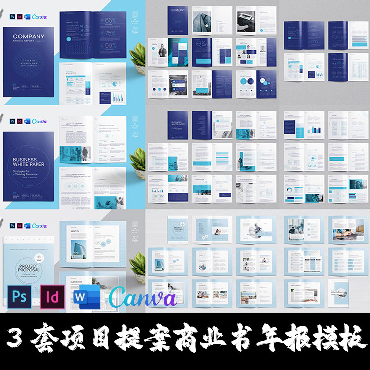 Indesign/Word/PSD模板3套A4 公司简介提案项目建议书宣传画册PDF,商务/设计服务,设计素材/源文件,淘宝优惠券,粉丝福利购,淘宝优惠卷
