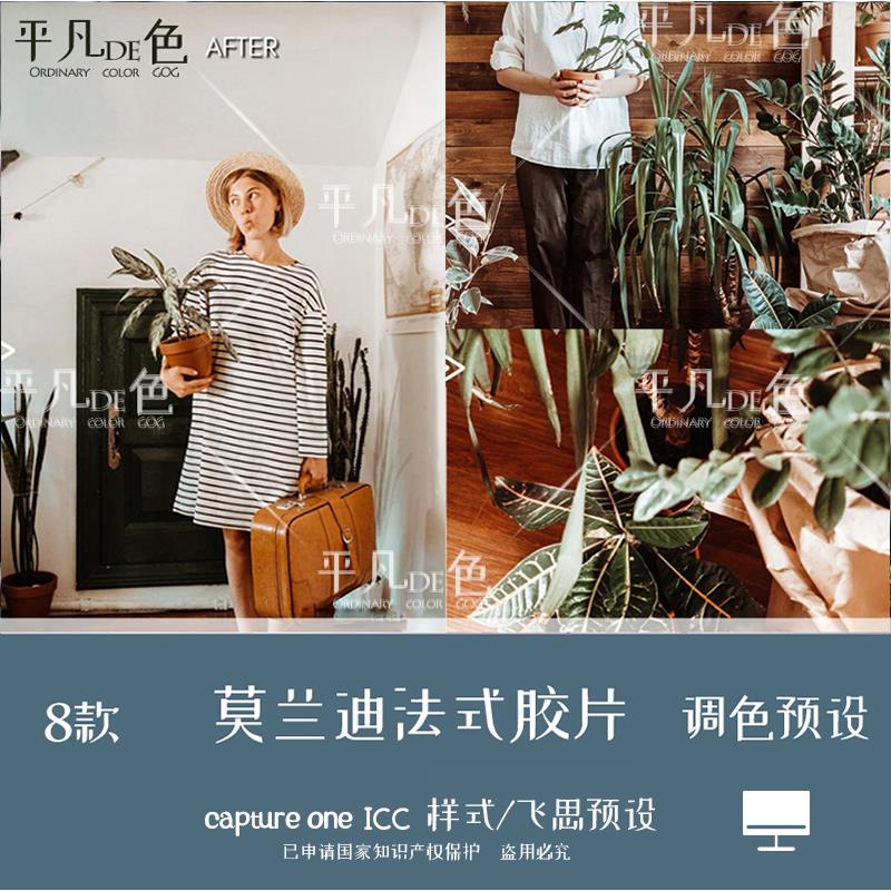 capture one样式莫兰迪法式静物人像胶片调色滤镜c1飞思预设CO804