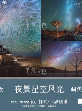 capture one样式 夜景星空风光夜空旅拍调色滤镜 C1飞思预设CO698