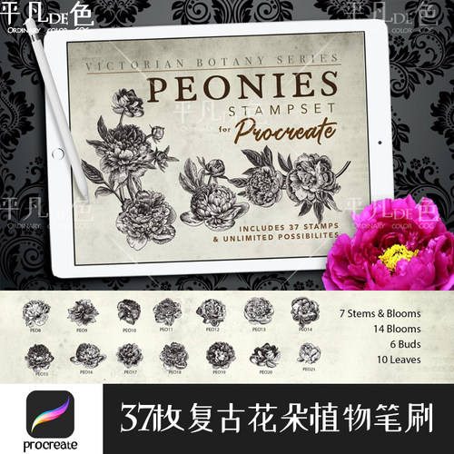 Procreate笔刷37款复古牡丹花植物纹身图案绘画IPAD大师级画板717