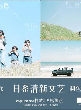 capture one样式日系小清新文艺滨田英明调色滤镜C1飞思预设CO992