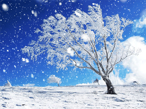 Ps中文特效动作暴雪小雪大雪雪花风雪雨雪景动态gif特效摄影素材 甜心范