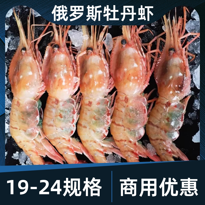 俄罗斯进口牡丹虾刺身商用图片