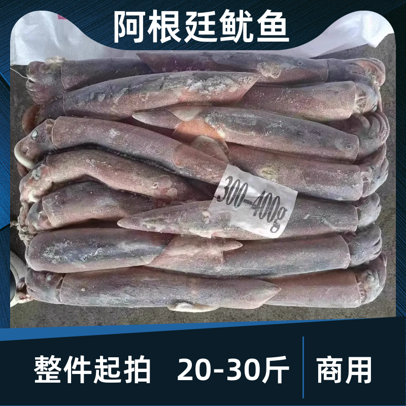 阿根廷鱿鱼300-400g整箱商用海鲜