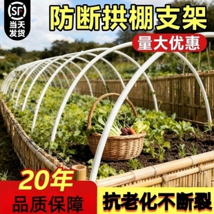 大棚支架拱杆拱棚支架棚架花架秧苗玻璃钢菜地玻璃纤维杆拱形暖棚