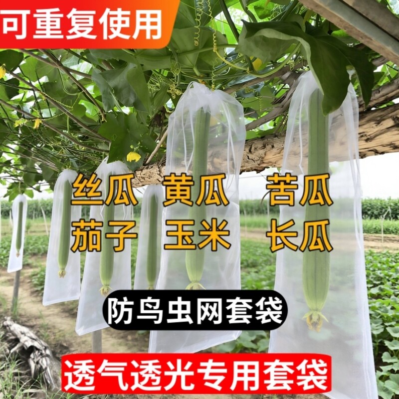 瓜果蔬果套袋丝瓜黄瓜苦瓜茄通用蔬菜专用果袋防虫防鸟水果网套袋