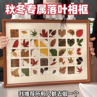 落叶树叶标本相框手工diy秋天叶子收集48宫格画框装饰画桌面摆件