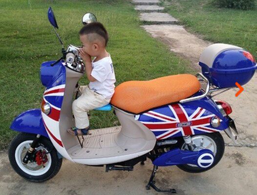 siège enfants pour vélo - Ref 2429484 Image 5