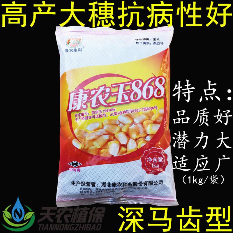 康农玉868杂交玉米种子大田高产饲料玉米种籽矮杆大棒白轴深马齿