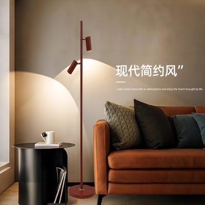 全光谱落地灯双头射灯客厅氛围灯
