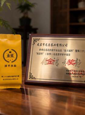 金龙壶漳平水仙茶王2泡品鉴装
