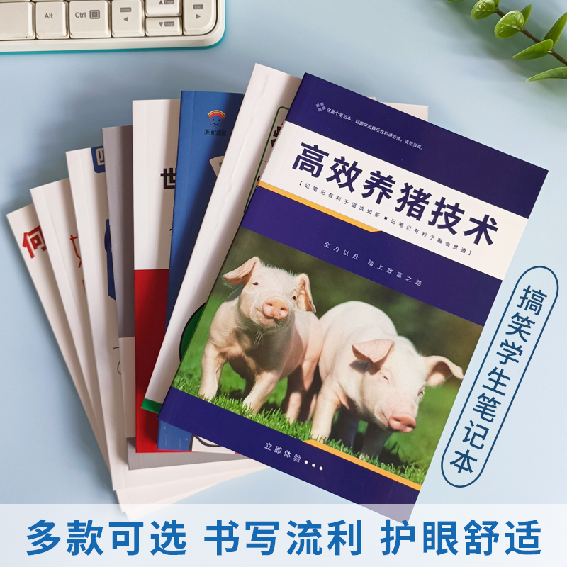 彩虹时代潮语笔记本学习笔记本
