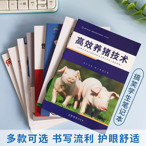 彩虹时代潮语笔记本学习笔记本