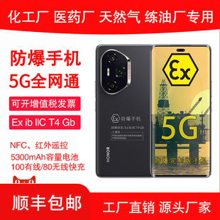 工厂EX工业医药CT4加油站天然气专用防爆报告带证书带防爆鉴定报告 100W防爆定制版 防爆带证书 Ultra 荣耀300