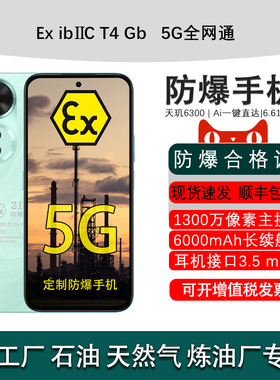 honor/荣耀 畅玩60 新款手机 5G 6000mAh长续航 定制防爆手机 本安EX工业化工厂石油库制药专用 (带合格证书)