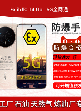 honor/荣耀 Magic8 7000mAh 定制防爆手机 本安EX化工厂石油库天然气医药工业材料专用 防爆定制版（带证书）