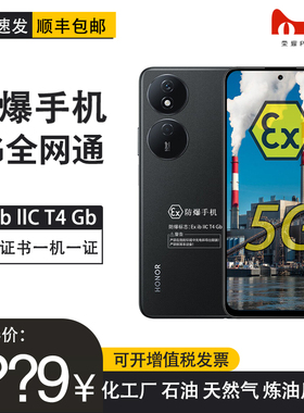荣耀Play8T 5G 6000mAh长续航5000万像素 定制防爆手机化工厂医药EX工业油库专用 防爆定制版（带证书） 荣耀