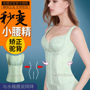 安提尼亚腰背夹塑身衣正品 产后束腰收腹神器收胃美背收副乳防驼背
