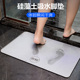 岩极硅藻土吸水脚垫日本天然硅藻泥地垫浴室卫生间门口防滑速干垫