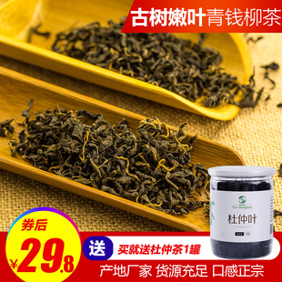 古树嫩叶茶无糖食品清金钱柳青钱柳降养生茶 青钱柳茶野生特级正品