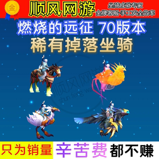 魔兽世界代练奥的灰烬凤凰乌鸦之神午夜迅捷白色陆行鸟稀有坐骑