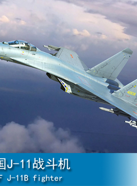 小号手 1/144 中国J-11战斗机 03915拼装模型男孩摆件拼装玩具