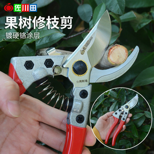佐川田868修枝剪刀粗枝剪果树剪园林工具盆景剪刀修花省力剪子SK5