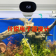 仟锐电子温度剂高精度电子数显测水温鱼缸水温计水族专用精准测量