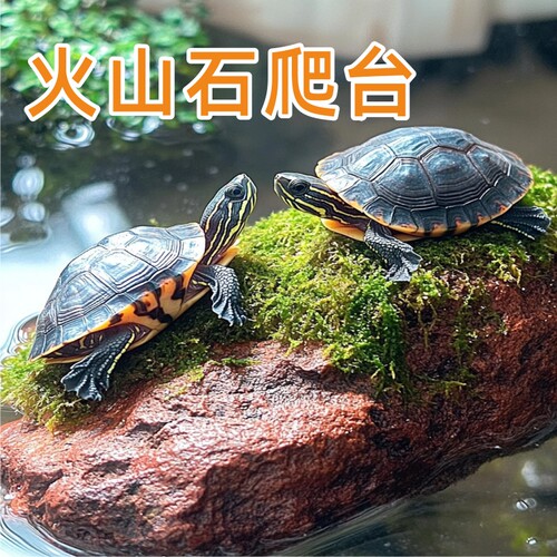 火山岩乌龟晒台爬台鱼缸