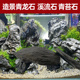 精选青龙石鱼缸酸洗造景石水族水草假山生态缸溪流片石黑工砂石子