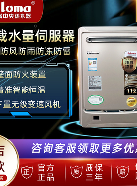 Paloma/百乐满 JSW52-2602BCW/WCW燃气热水器水伺服恒温室外防冻